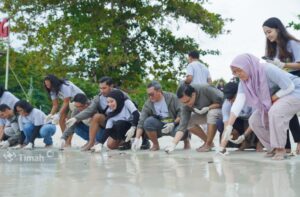 Kolaborasi PT TIMAH, BKSDA, dan Alobi Foundation: Selamatkan Tukik Penyu Sisik di Tanjung Kelayang