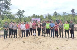 Pulihkan Lahan Kritis, PT TAM dan Korem 045 Gaya Tanam Ribuan Pohon di Bangka dan Belitung