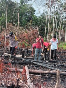 Tanam Jagung 1 Hektare, Polsek Simpang Teritip Polres Bangka Barat Perkuat Ketahanan Pangan dan Kedekatan dengan Warga