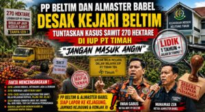 PP Beltim dan Almaster Babel Bongkar Dugaan Mafia Tanah di IUP PT Timah Simpang Pesak, Kejari Beltim Didesak Bertindak