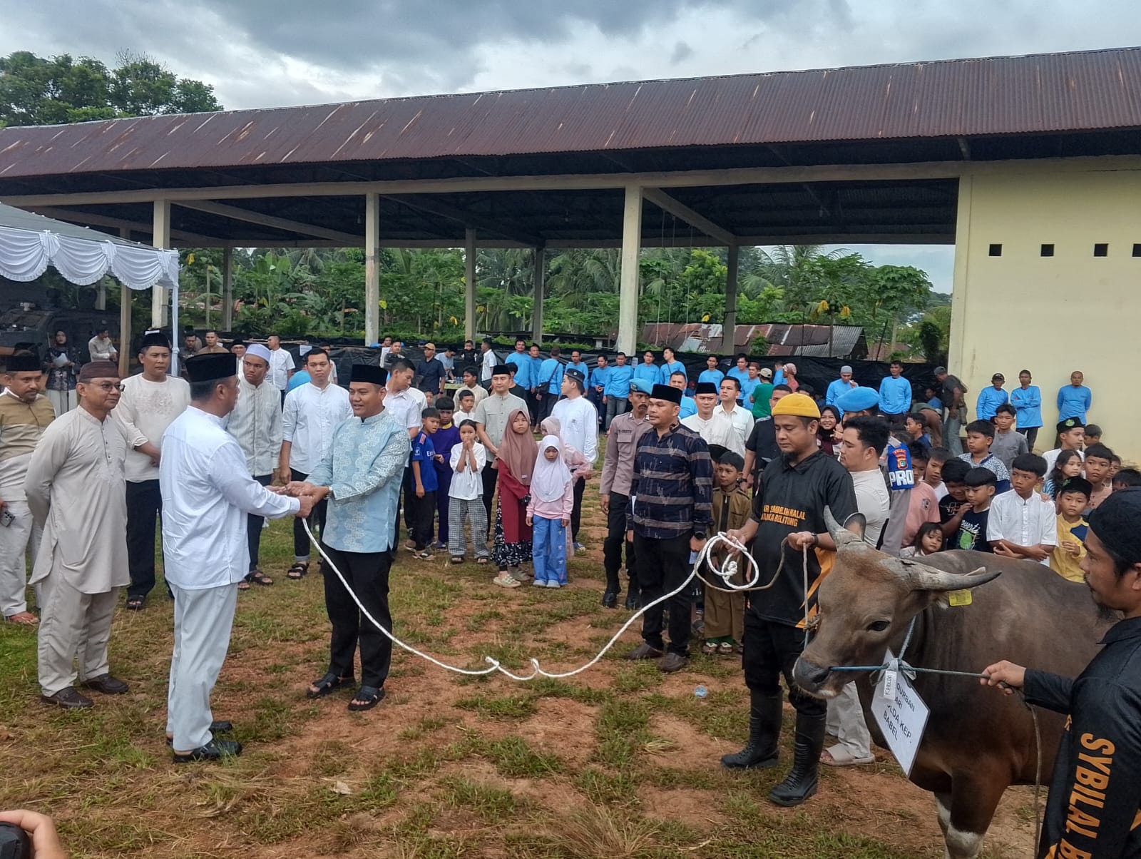 Polda Babel Salurkan Puluhan Hewan Kurban Di Hari Raya Idul Adha 1447 H, Kapolda : Momentum Perkuat Silaturahmi Dan Rasa Kepedulian
