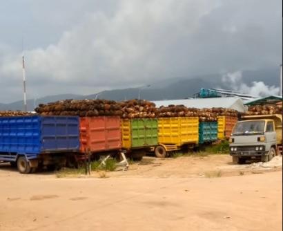 Kebijakan Baru 2027 Disorot, Masyarakat Khawatir Harga Sawit Semakin Terpuruk