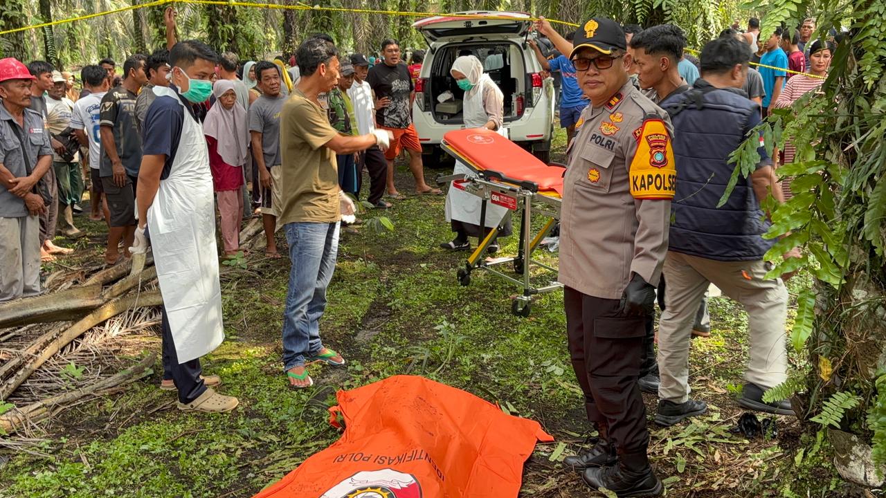 Polres Bangka Barat Selidiki Penemuan Jenazah Pria di Perkebunan Sawit