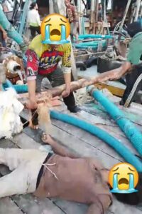 Jangan Hanya Ambil Timahnya, Keselamatan Pekerja Juga Harus Dijaga! Korban Jiwa di Sampur Picu Desakan Publik