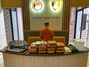 Polda Babel Amankan Pria Di Pangkalpinang Usai Simpan 12,8 Kilogram Ganja Dirumah