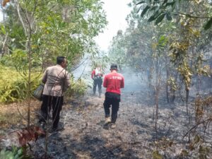 Lahan Kosong 1 Hektare di Mentok Terbakar, Polisi Gerak Cepat Padamkan Api