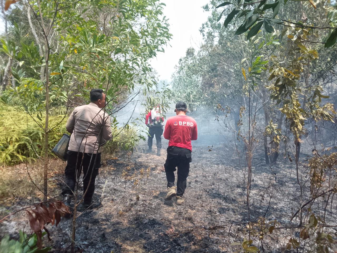 Lahan Kosong 1 Hektare di Mentok Terbakar, Polisi Gerak Cepat Padamkan Api