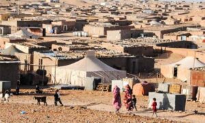 Skandal Penyelewengan Bantuan Kemanusiaan di Kamp Tindouf: Keuangan Polisario Dipertanyakan, Wilson Lalengke Desak Pembubaran Kamp