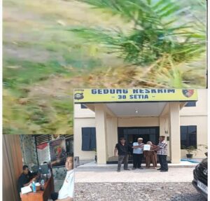 Kades Rantau Dodor Dinilai Langgar Perda No. 30/2008 — Pemilik Sapi Ancam “Mati Kau”, Dilaporkan ke Polres Empat Lawang